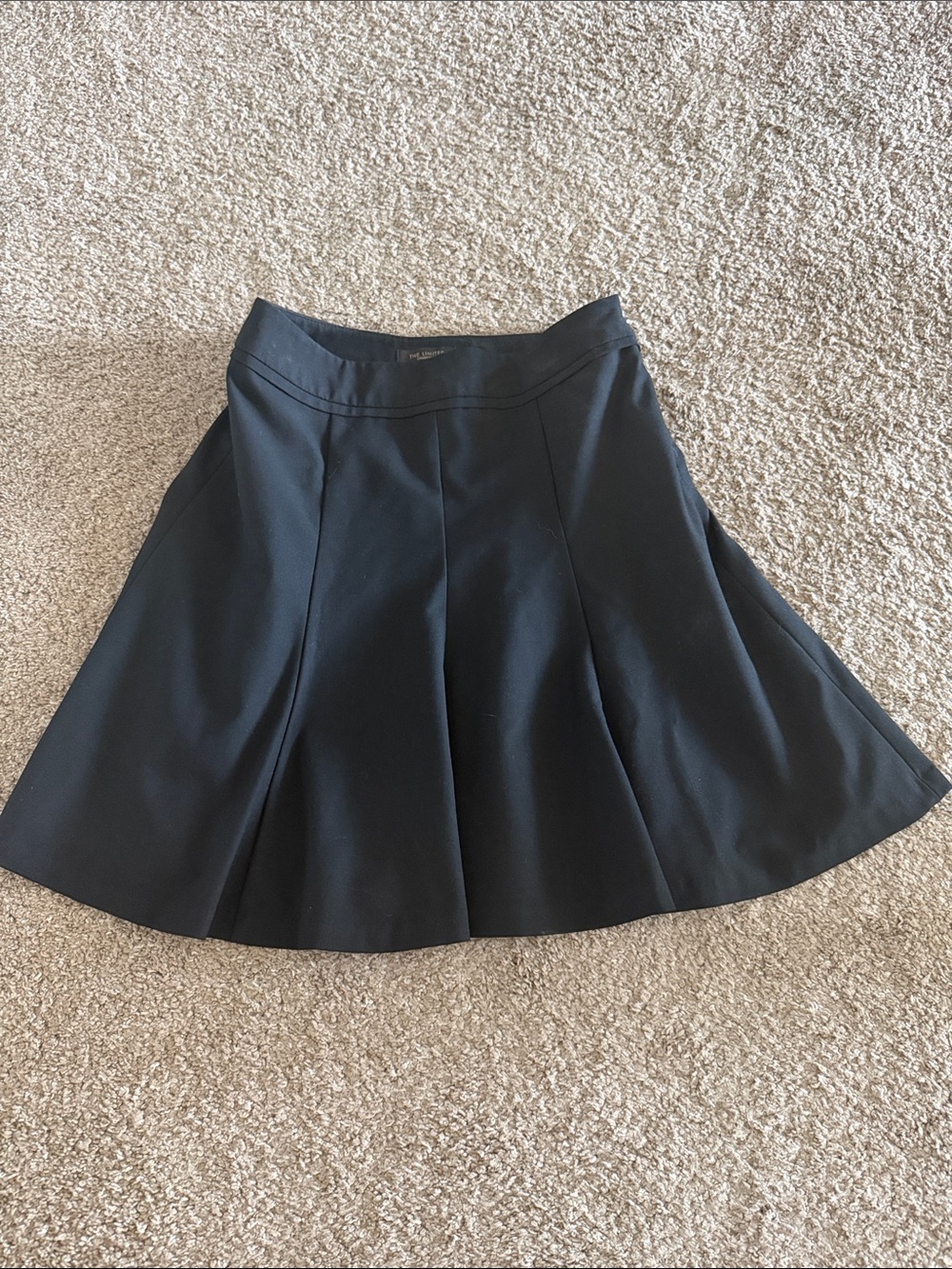 The Limited Black Circle Skirt